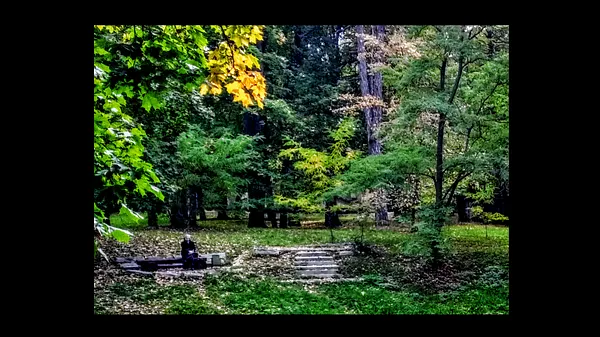 Зображення "Фотопроєкт "(Не)видиме місто", 10 фото" від Тетяна Кононенко (Танта), розмір: 70х50 см, матеріали: полотно, фото, друк, медіум: Фото, місто: Суми, серія: (Не)видиме місто, ціна: $500 Фото 11 з 11.