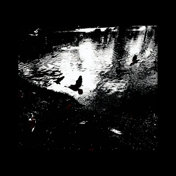 Image of "Premonition" by Tetiana Kononenko (Tanta), made of JPG, 300 DPI, Photoart medium, from Sumy, part of the "Pain borders" series