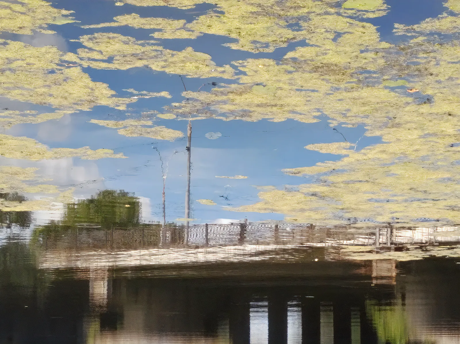 Image of "Flow of memories" by Tetiana Kononenko (Tanta), size: під замовлення, made of JPG, 300 DPI, Photos medium, from Sumy, part of the "Tanta Through the Looking Glass" series Photo 1 of 4.